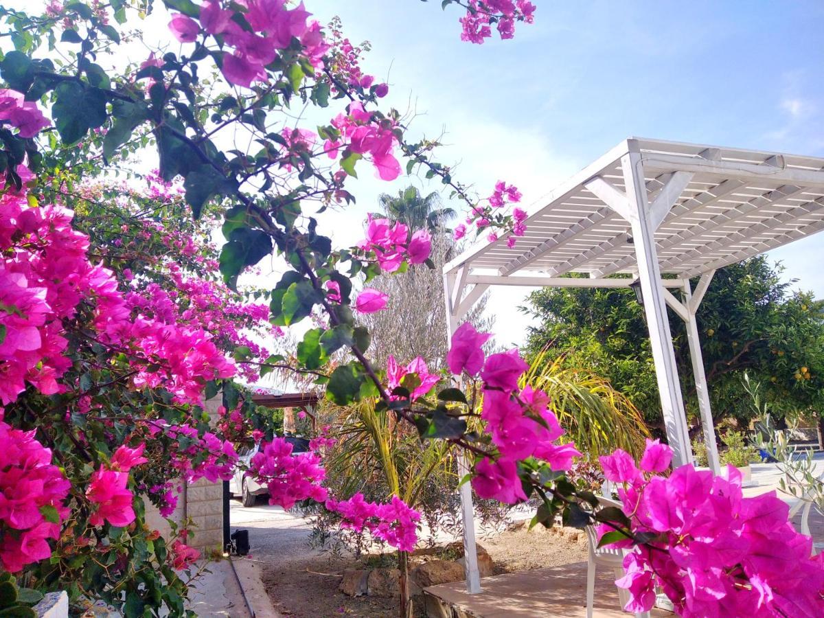 Finca él Aulagar Málaga Extérieur photo